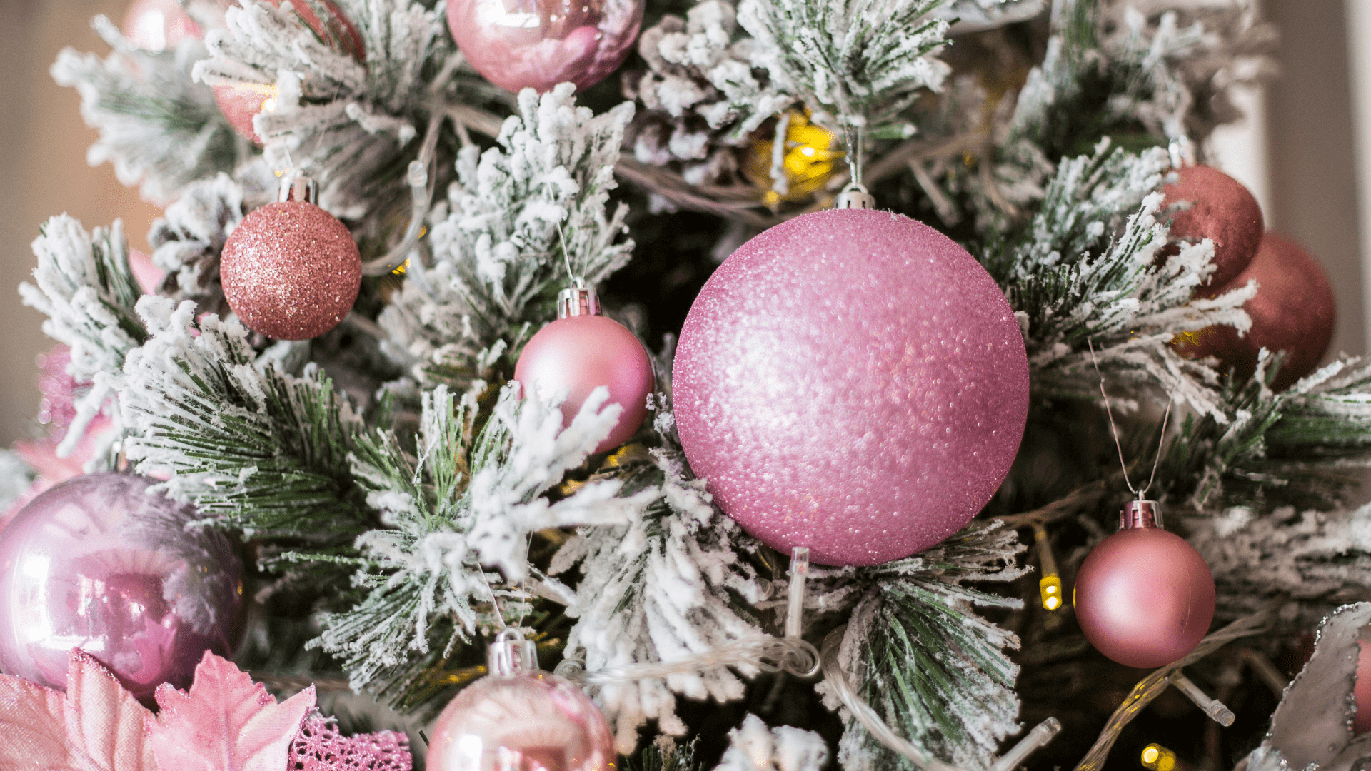 Consiglio Showgroup: palline rosa albero di natale