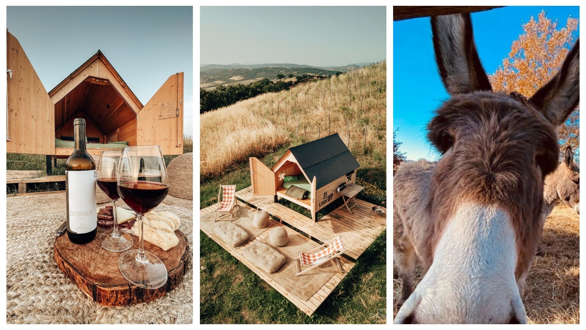 Wine tour la maliosa