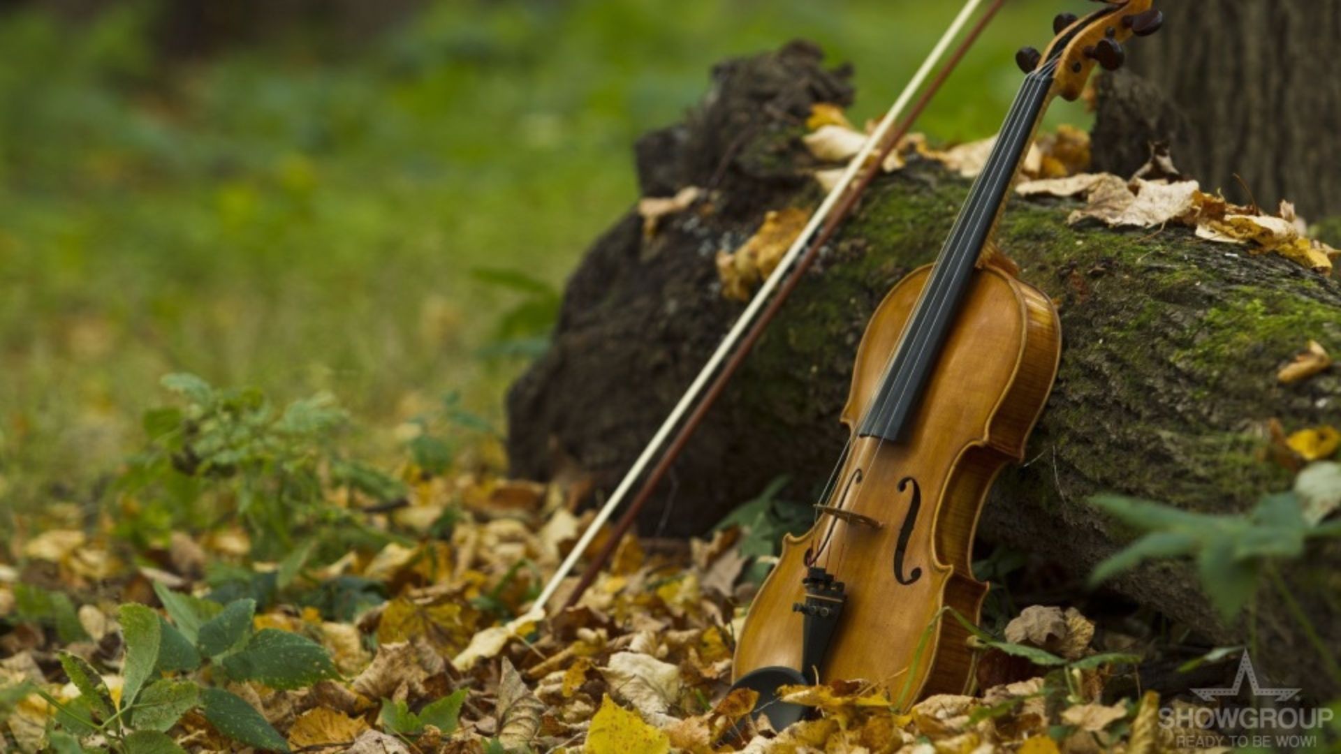 Highland Aire Celtic Band