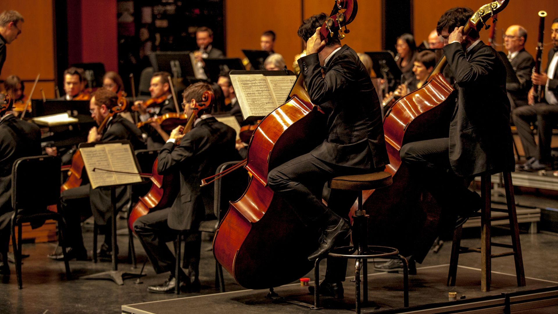 bandi per musicisti e orchestre