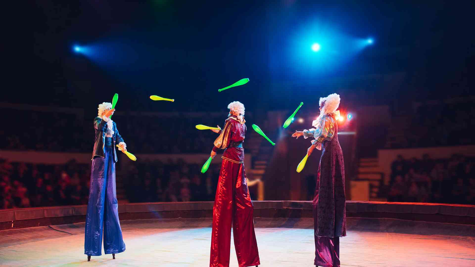 Art Performer Art Performer