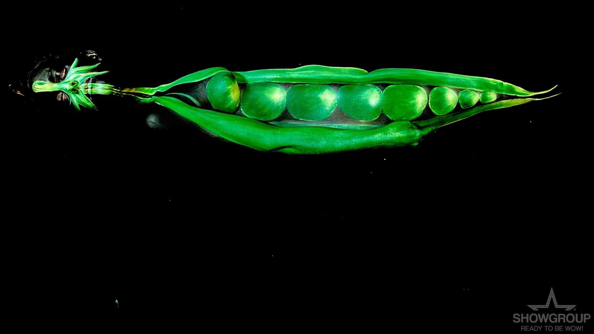 migliori Art Performer su Showgroup Art Performer